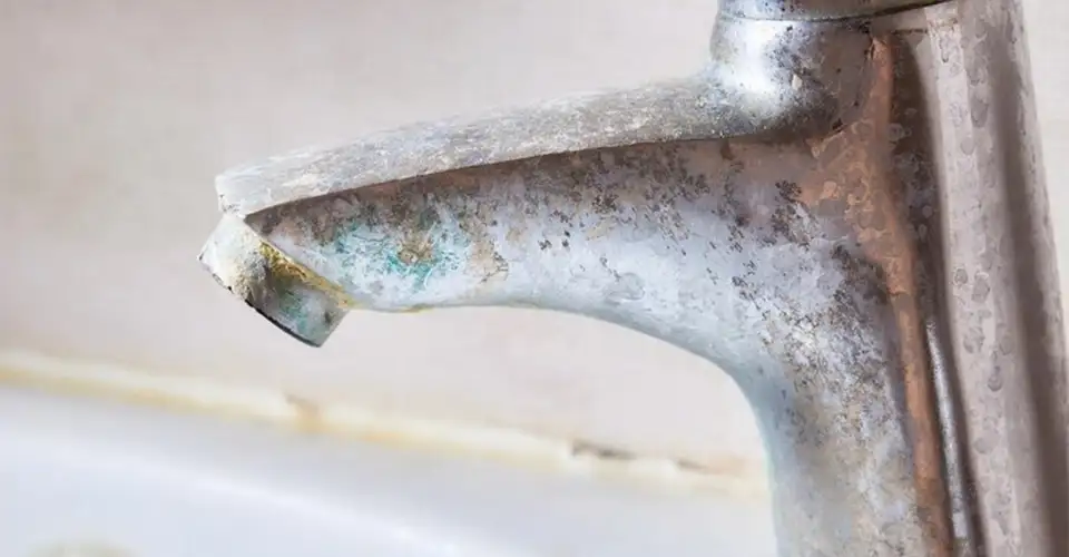 علت سبزی شیرآلات